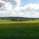 <p>Orlické hory, lesy a louky 2</p>